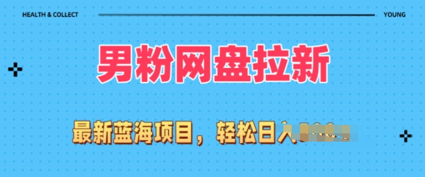 全网最新男粉项目，网盘拉新玩法，小白也可上手操作