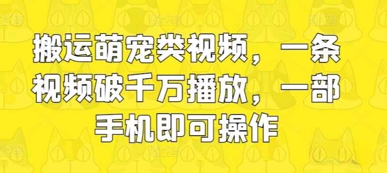 搬运萌宠类视频，一条视频破千万播放，一部手机即可操作