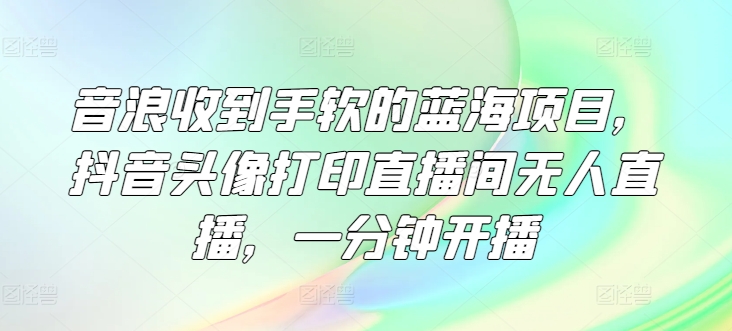 音浪收到手软的蓝海项目，抖音头像打印直播间无人直播，一分钟开播