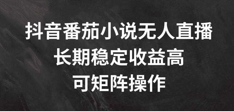 抖音番茄小说无人直播，长期稳定收益高，可矩阵操作